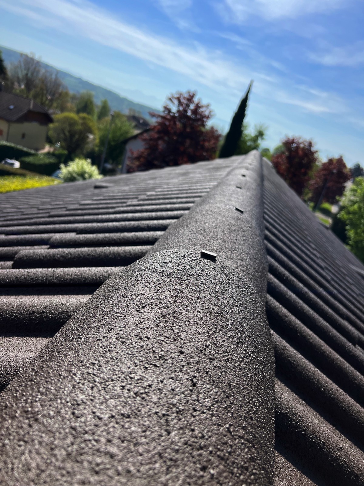 Professionel pour changer un faîtage de toiture à Nyon