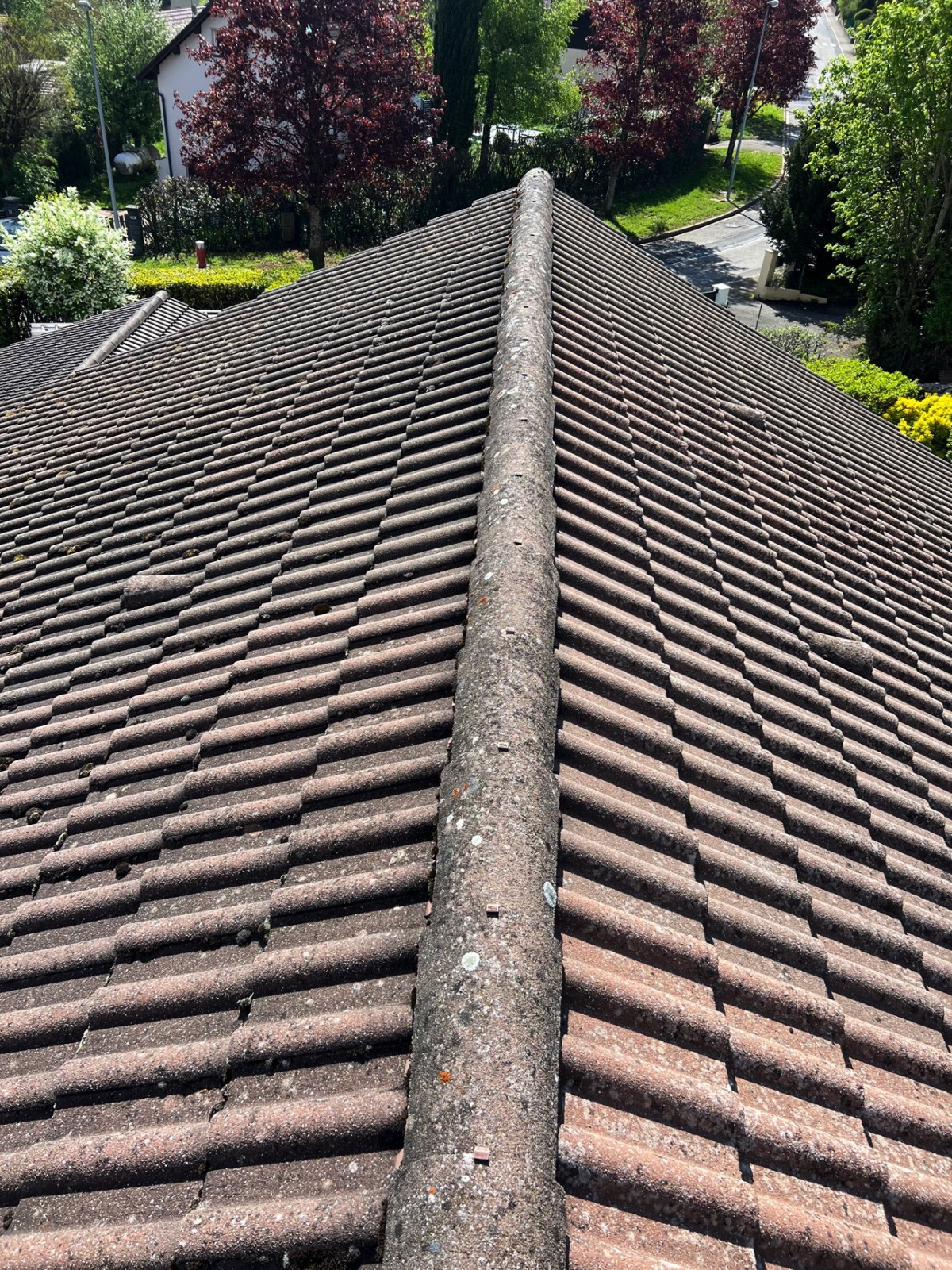 nettoyage toiture et traitement de tuiles en béton à Lausanne 